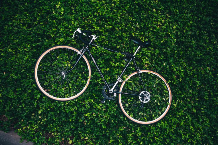 bicycle-in-the-garden