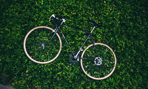 bicycle-in-the-garden