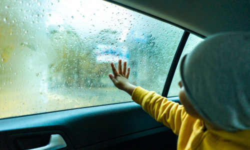 pexels-freestockpro-12932416